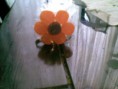 /album/por-mim/a14042011-jpg/
