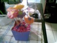 /album/por-mim/a18042011-017-jpg/
